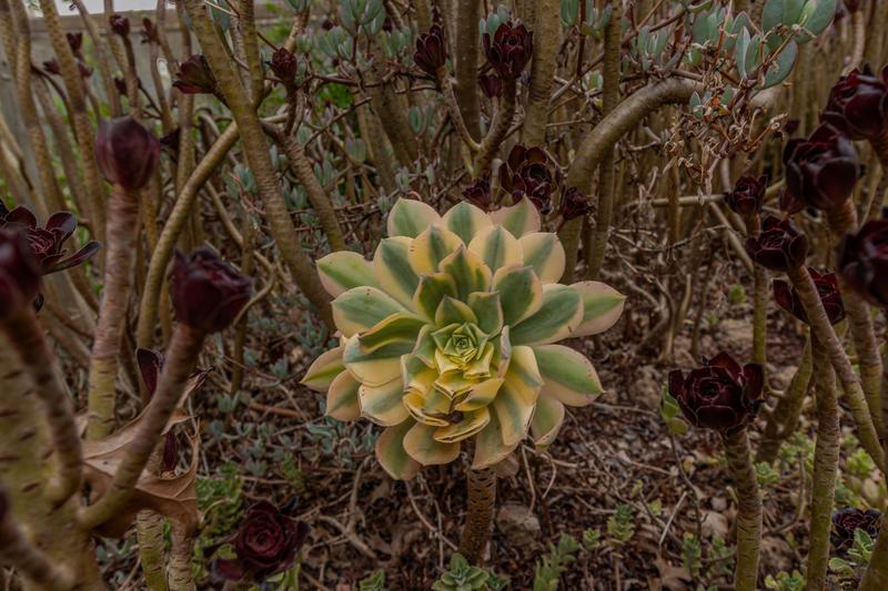 0 Bedroom Property for Sale in Riviersonderend Western Cape